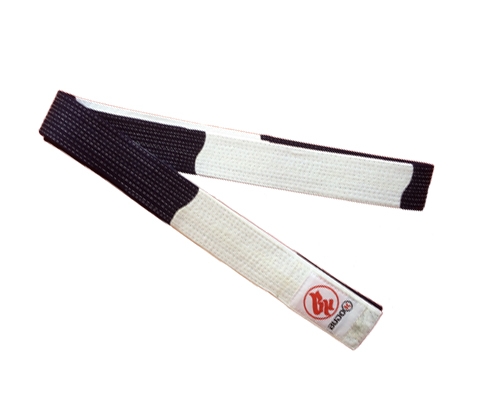 Meistergürtel, Yoseikan