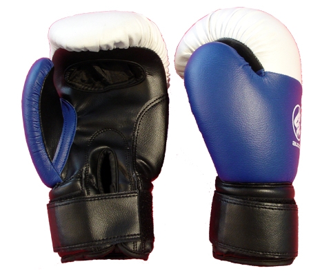 Boxhandschuh Yoseikan